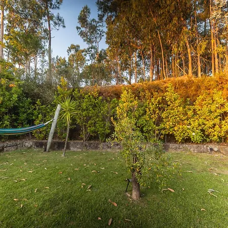 فيلة Bagoada - Sunset Vista - Uchill *